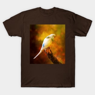 White Budgie Parakeet T-Shirt